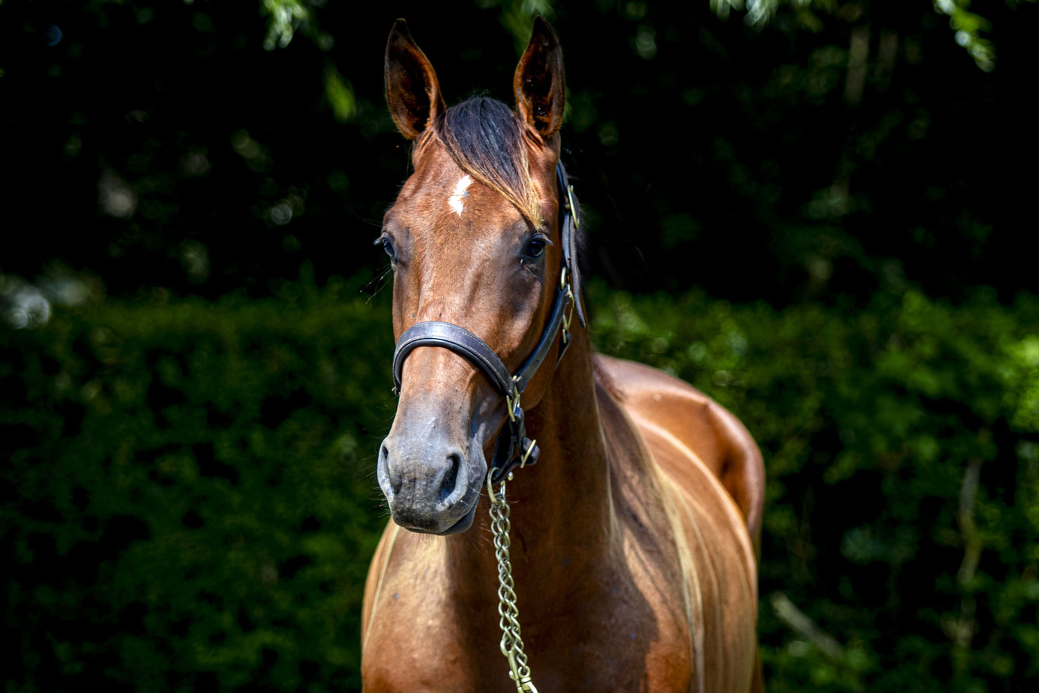 Photo  de KEEPER BLUE #2