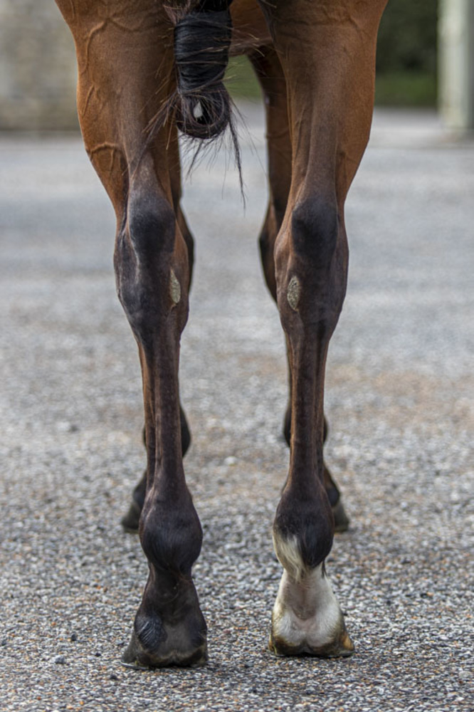 Photo  de LUCKY MAN #4