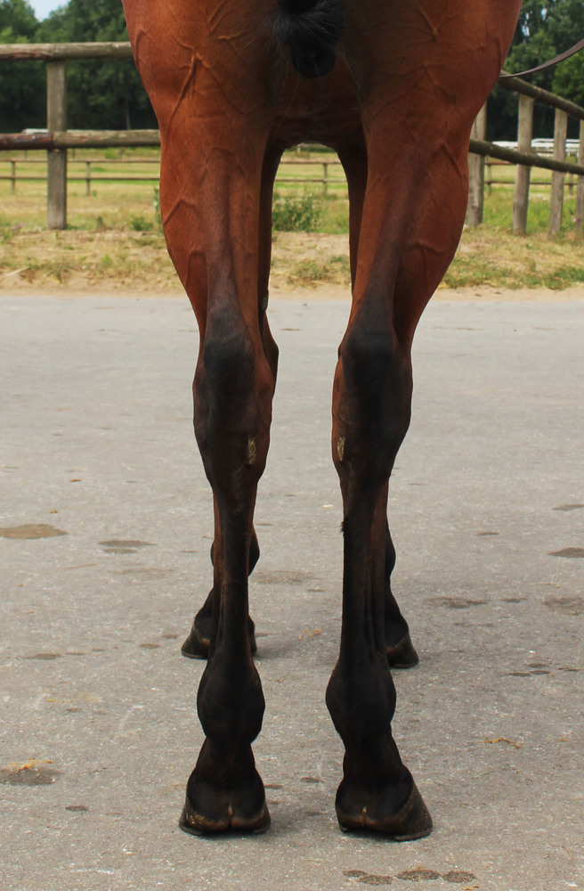 Photo  de TWIST OF ART #4